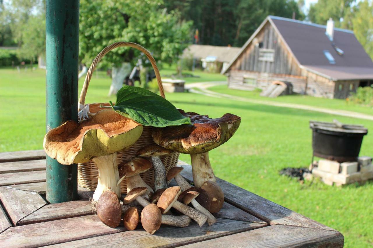 Sodyba Vieversyne Duokiskis Exteriör bild